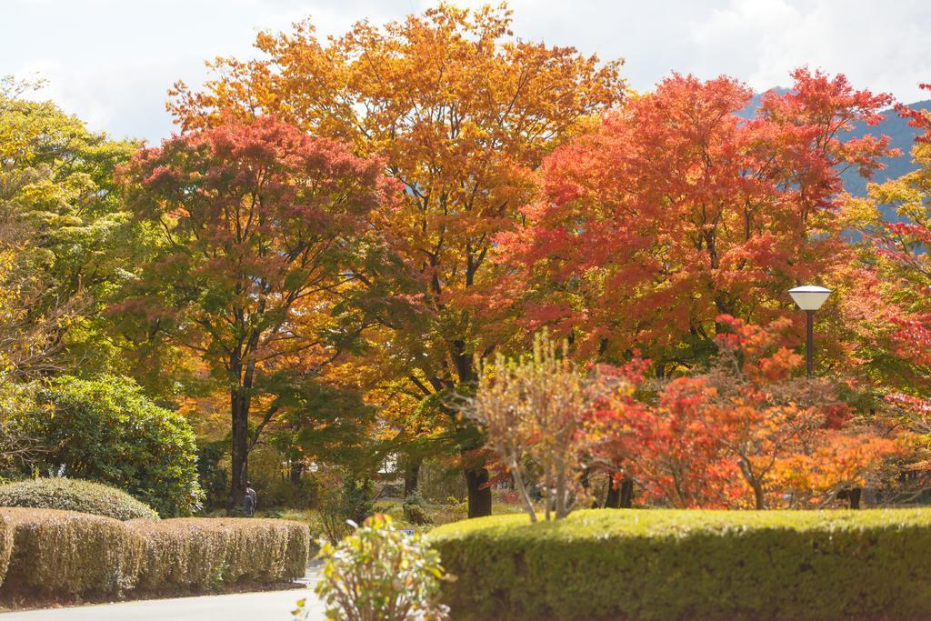 Hakone Lake Hotel Ngoại thất bức ảnh